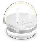 加湿器 卓上 次亜塩素酸水 最新版 ダブル噴出口 超音波式 加湿器 超静音 除菌 12時間連続加湿 LEDライト ペットボトル 1.2L 大