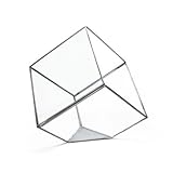ジオ テラリウム lサイズ Geo Terrarium “L”