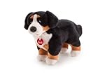 Trudy Bernese Bruce Plush (42 cm) by Trudi