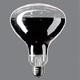 岩崎電気　屋外投光用アイランプ　散光形　500W形　RF220V450WH