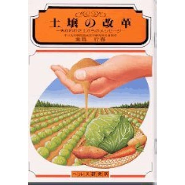 醫心方 食養篇 巻第29・巻30 (叢書日本漢方の古典 1) | 丹波 康頼