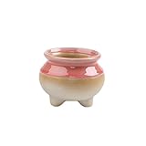 シンプルな多肉植物フラワーポットフローグレーズポットクリエイティブセラミックフラワーポット_A3