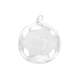 Flameer 花瓶ガラス　装飾　ぶら下げ　ボトル　水耕テラリウム　植物コンテナ　インテリア　透明