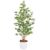 【人工植栽】　タカショー グリーンデコ和風 ベンジャミン　グリーン鉢付　1.5m　GD-120G