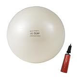 ギムニク GYMNIC バランスボール フィットボール 55cm 65cm パールホワイト Fit Ball ギムニクプラス BRQ 破裂防止 アンチバースト 女性 男性 椅子 空気入れ [セット品](バランスボール/ポンプ) (65cm)
