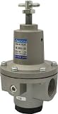 [1034456]日本精器　レギュレータ　２５Ａ BN3R0125