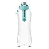 DAFI ダフィ 浄水ボトル 携帯用 ボトル型 浄水器 浄水 ボトル 水筒 カートリッジ付き 【日本仕様・日本正規品】 (ミント, 700ml)