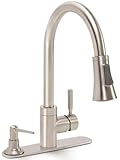 Premier Faucet 2495793 Kitchen Faucet with Pull-Down and Soap Dispenser, 1.8 Gpm, Brushed Nickel [並行