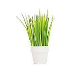 MIRACLE 草 ボールペン 35本セット インテリア オシャレ 植木鉢 KFK7164 MC-KFK7164