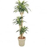 【人工植栽】　タカショー グリーンデコ鉢付 ドラセナ 幸福の木　1.7m　GD-149