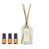 &SH エッセンシャル リードディフューザー セット 150ml イランイラン/アロマオイル スティック ルームフレグランス 香り