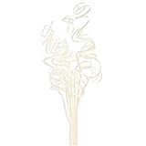 大地農園 ドライフラワー  ケーンカール (10本入り) 白 DO050760-011