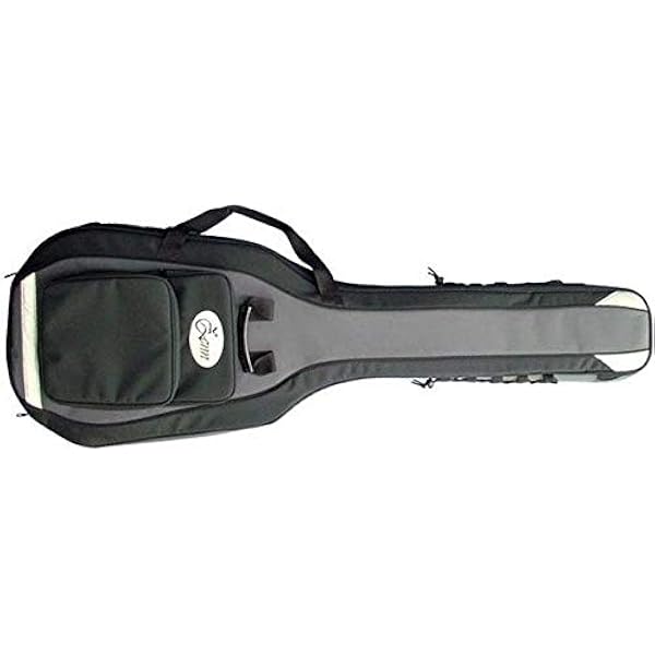 ZENN アコースティックベース ソフトケース付き Amazon.co.jp: PLAYTECH(旧ZENN） (プレイテックゼン