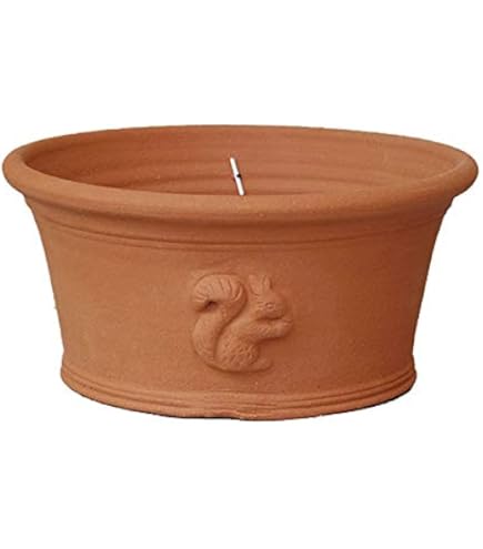 Amazon.co.jp: Whichford Pottery ウィッチフォード植木鉢 塗り鉢 ミニ