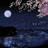 ���g�̌���