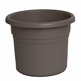 Bloem 10インチ花束プランター胡椒PP1060、12パック