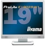 iiyama 19�C���`�t���f�B�X�v���C �z���C�g PLE1902S-W1