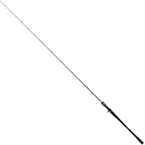 Amazon | ダイワ(DAIWA) ライトジギングロッド SALTIGA(ソルティガ) LJ