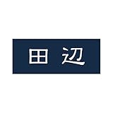丸三タカギ 彫り込み済表札 アクリル APY1-N-1-1-田辺 【完成品】