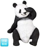 FRP　戯れるパンダ / Slouching Panda (Not in Aus)　【動物園オブジェ