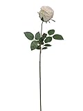 2 30 Artificial Silk Champagne Rose Bud [並行輸入品]