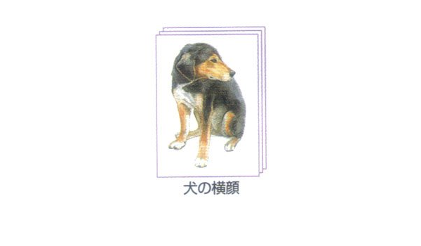 Amazon 塗り絵 塗り絵物語 犬たち猫たち編 犬の横顔 色鉛筆 文房具 オフィス用品