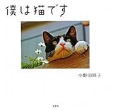 僕は猫です