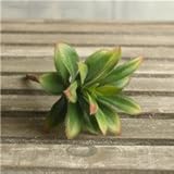 LuxBene(TM)人工植物の草の葉砂漠レアガーデン多肉植物風景フェイクフラワーホームデコレーション熱い販売3色C32