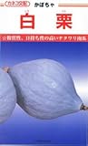 【種子】かぼちゃ　白栗 約10粒