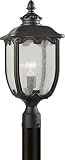 Forte Lighting 1821-01-04 Outdoor Post Fixture with Clear Seeded Glass Shades, Black [並行輸入品]