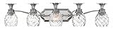 Hinkley 5315pl Plantation – 5ライトBath Vanity、ポリッシュアンティークニッケル仕上げwith光クリアガラス