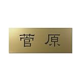 丸三タカギ 彫り込み済表札 アクリル APY2-G-1-1-菅原 【完成品】