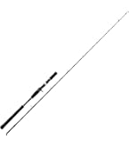 Amazon | メジャークラフト 25 ソルパラ ジギング SPJK-S60/4 | Major