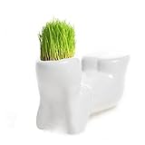 amzmonnsuta　おしゃれかわいい草人形の髪の盆栽 ミニDIY植物ポット　陶器植木鉢 白鉢植え