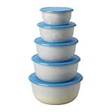 Ikea 501.495.60 Reda Food Container, Blue, Set of 5 by Ikea [並行輸入品]