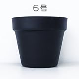 プラスチック鉢 ブラック 底穴なし 6号