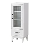 白井産業 【SHIRAI】 レトロア キャビネット RTA-1140GH