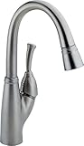 Delta Faucet 999-AR-DST Allora Single Handle Pull-Down Bar/Prep Faucet, Arctic Stainless [並行輸入品]