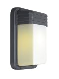 Woodbridge Lighting 60010WL-BKP 1-Light Fluorescent Exterior Sconce, Powder Coat Black [並行輸入品]