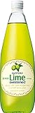 サントリー ライム 780ml瓶×12本