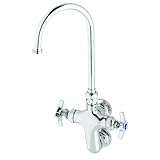 T&S Brass B-0316 Wall Mount Swivel Gooseneck Vertical Double Pantry Faucet with Stream Regulator by 