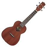 Ibanez アイバニーズ "鳴り感"と"弾きやすさ"にこだわったスタンダード・ウクレレ 【コンサート・サイズ】 UKC100-OPN