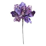 29 "パープルベルベットMagnolia 9 "花