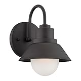 Acclaim 4712BK Fripp Collection 1-Light Wall Mount Outdoor Light Fixture, Matte Black [並行輸入品]
