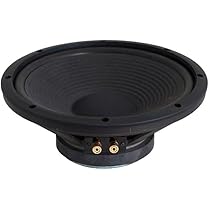 Amazon | Fostex 30cmバスレフ型 ウーハーユニットFW305
