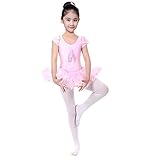 バレエ服 Ballet バレエ ダンス 練習 ワンピース ドレス 女の子 バレエドレス 体操服 (110, ピンク)