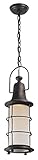 Troy Lighting Maritime 1-Light Outdoor Pendant - Vintage Bronze Finish with Clear Seedy Outer/Froste