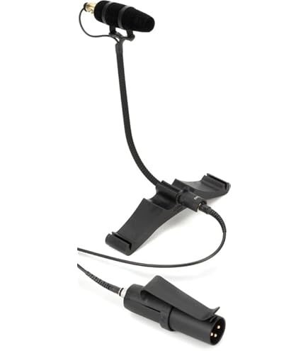 Amazon.co.jp: DPA Microphones DPA 4099-DC-1-199-V 楽器用 高感度