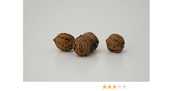 Amazon 岩手の鬼ぐるみ1kg Designshop ナッツ 通販