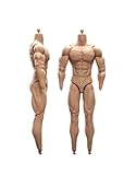 【Tbmodel 】23-Toys 1/6 フィギュア 男性 高質 素体 アクションフィギュア 23-BD003
